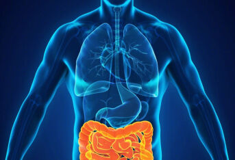肠痉挛和阑尾炎的区别是什么？