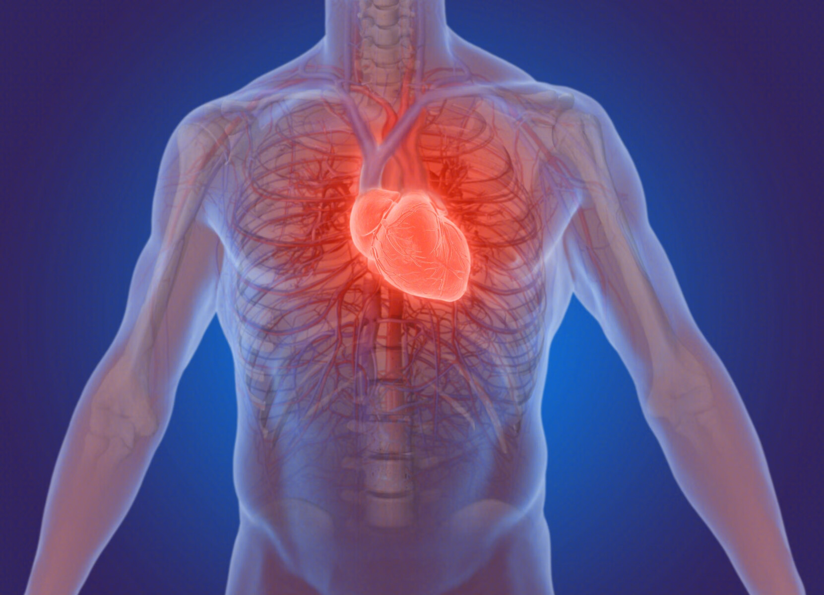 图4-7 右心房内壁:房间隔的前缘结构-心脏外科基础图解-医学
