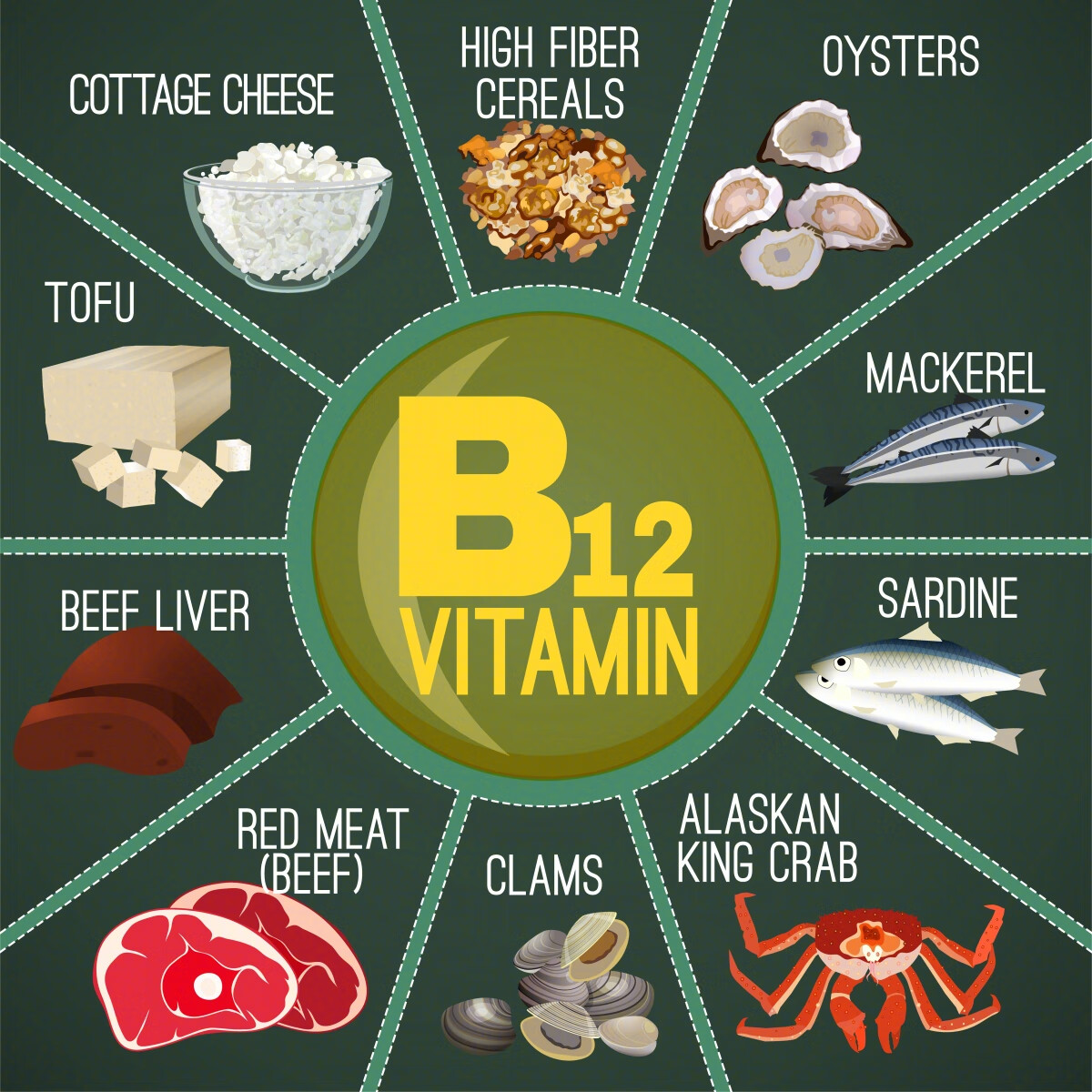  B12 