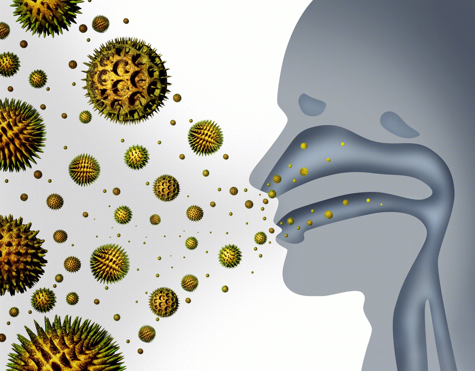 鼻窦炎有哪些症状？鼻炎和鼻窦炎的区别 - 知乎
