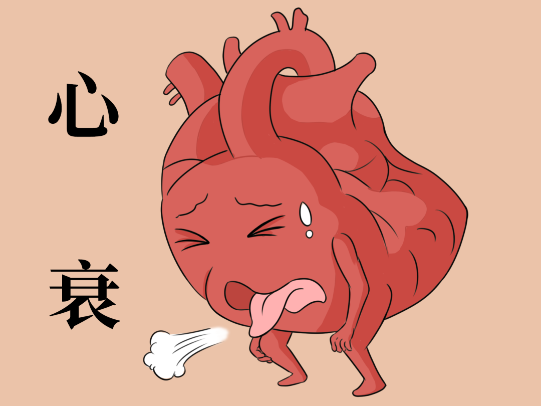 慢性心衰不可怕,做好管理很重要