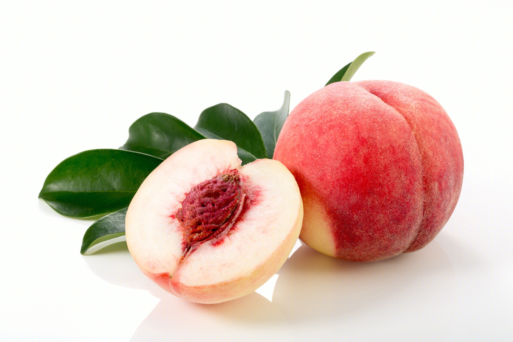 8月份成熟的桃子品种 - 花百科