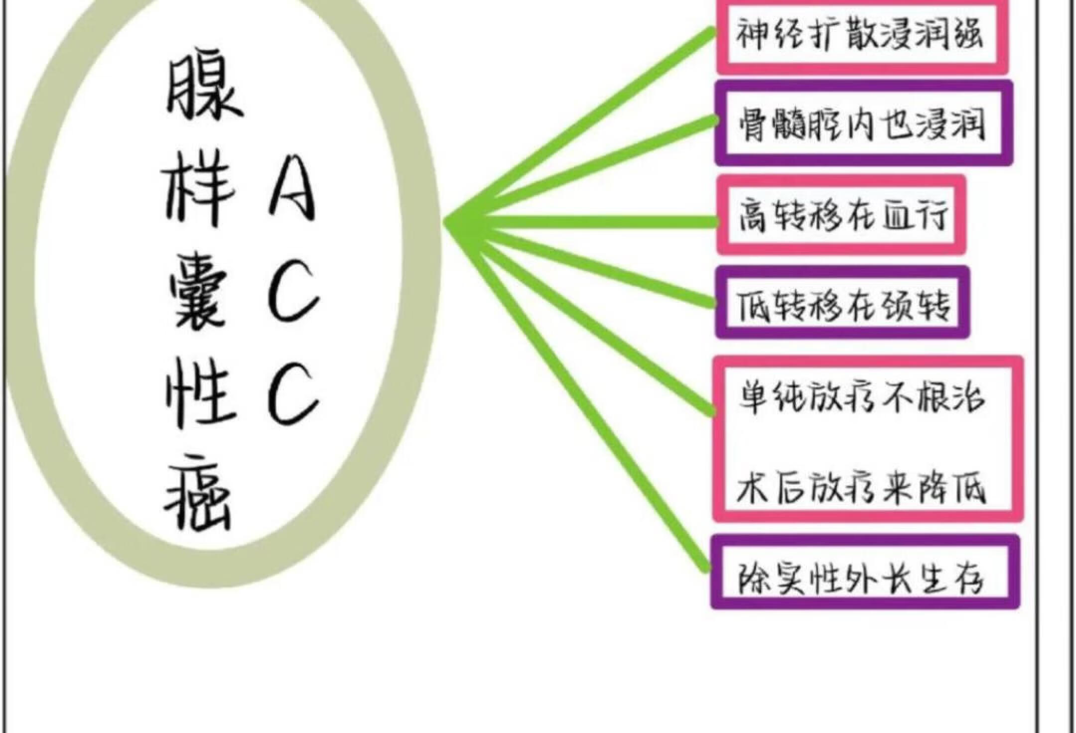 口腔带背📗腺样囊性癌（ACC）的临床表现