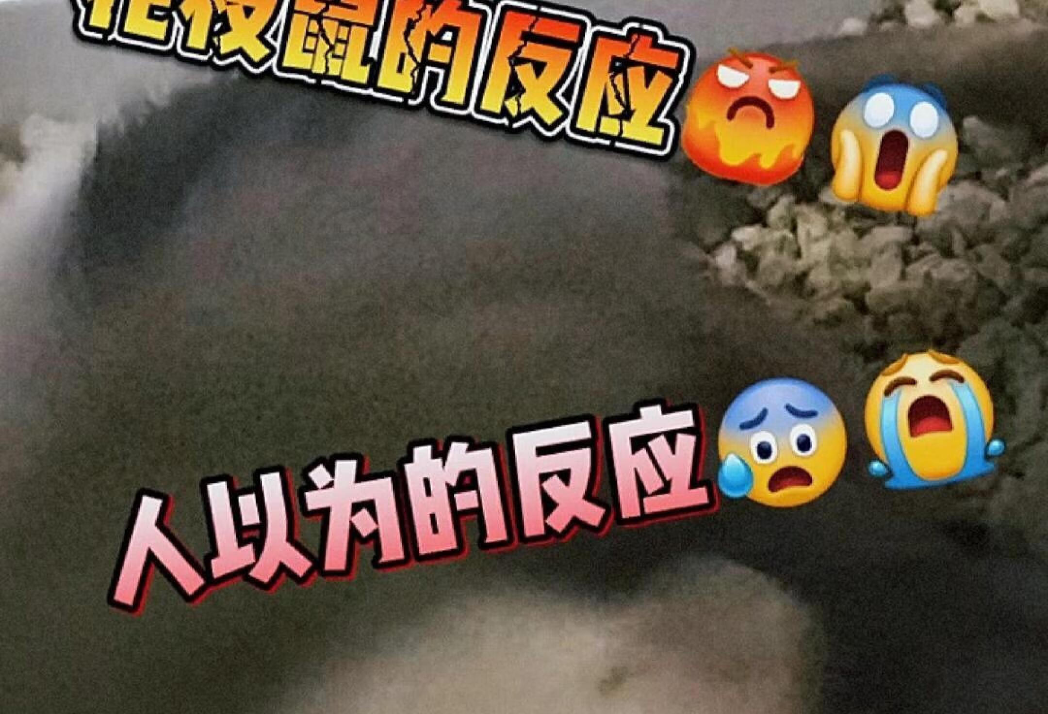 花枝鼠咬人处理之一