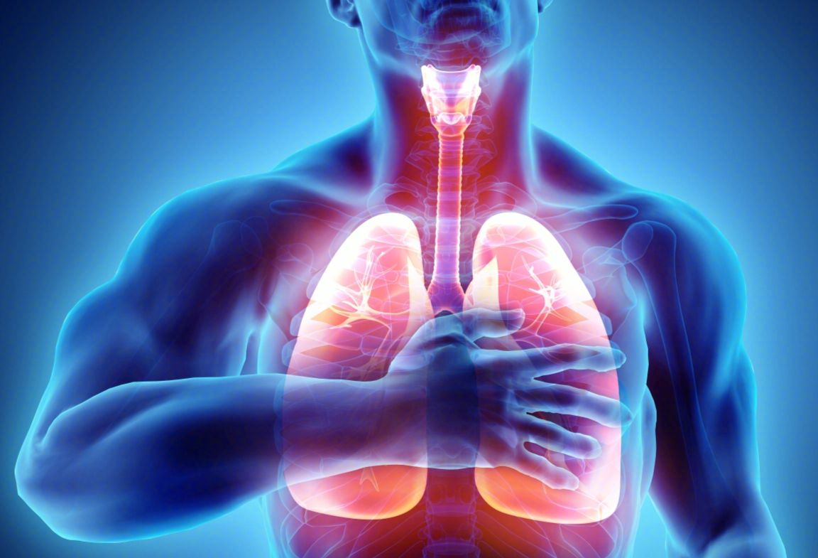 慢性肺原性心脏病解剖学因素
