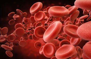 原发性免疫性血小板减少症是什么？