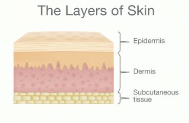 皮肤全身发黄可能是黄疸吗？