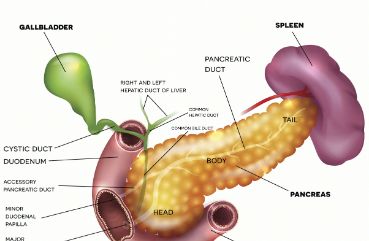 慢性胰腺炎患者会有哪些不适症状？