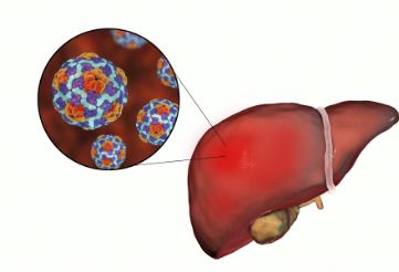 谈谈乙肝携带者上学和工作的事