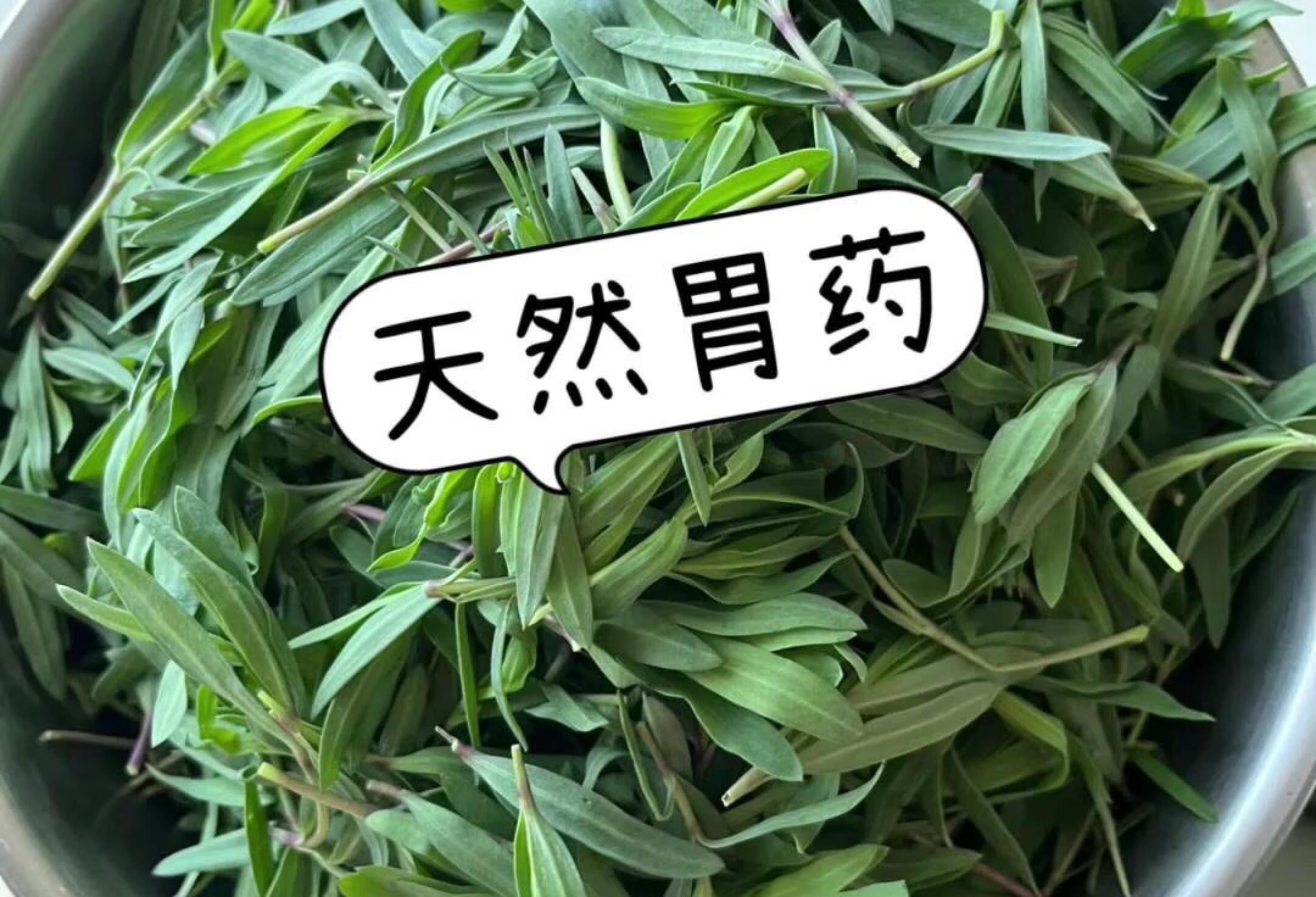 感染幽门螺杆菌的存下吧，能帮1个是1个