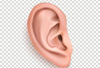 先天耳廓畸形之耳模矫正技术