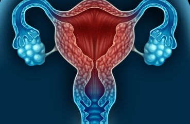 多囊女性的卵巢功能到底如何？