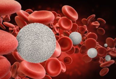 白细胞红细胞血小板的解读