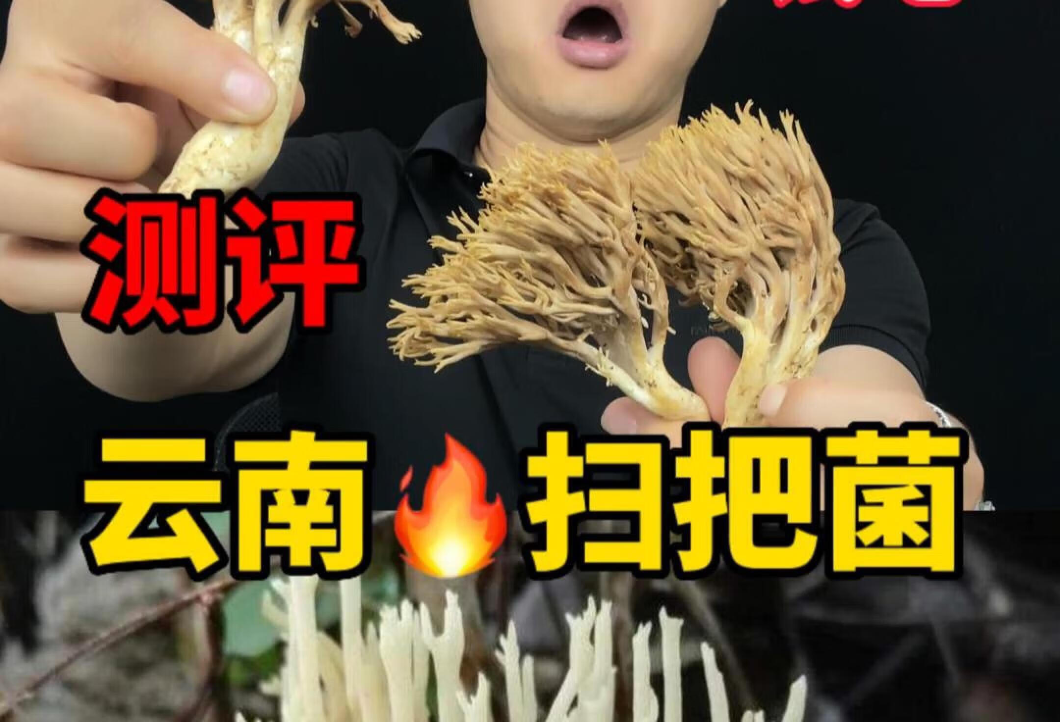 这扫把菌 也叫珊瑚菇 它真的能好吃吗？抖