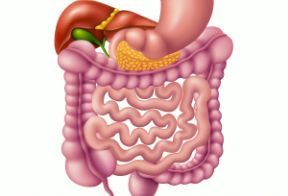 食管癌的早期信号、高危人群、筛查和预防（4）