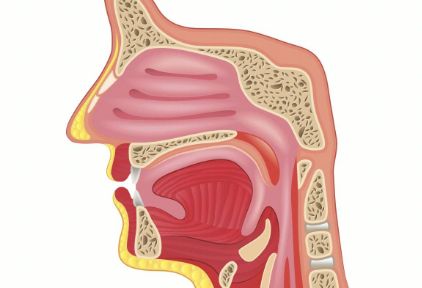 不要轻视咽喉健康，不要小视咽喉疾病