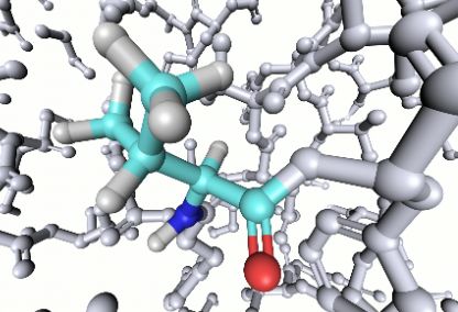 氨基酸不能大补特补，科学补充氨基酸能让身体充满能量