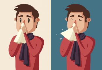  变应性鼻炎的主要元凶：尘螨
