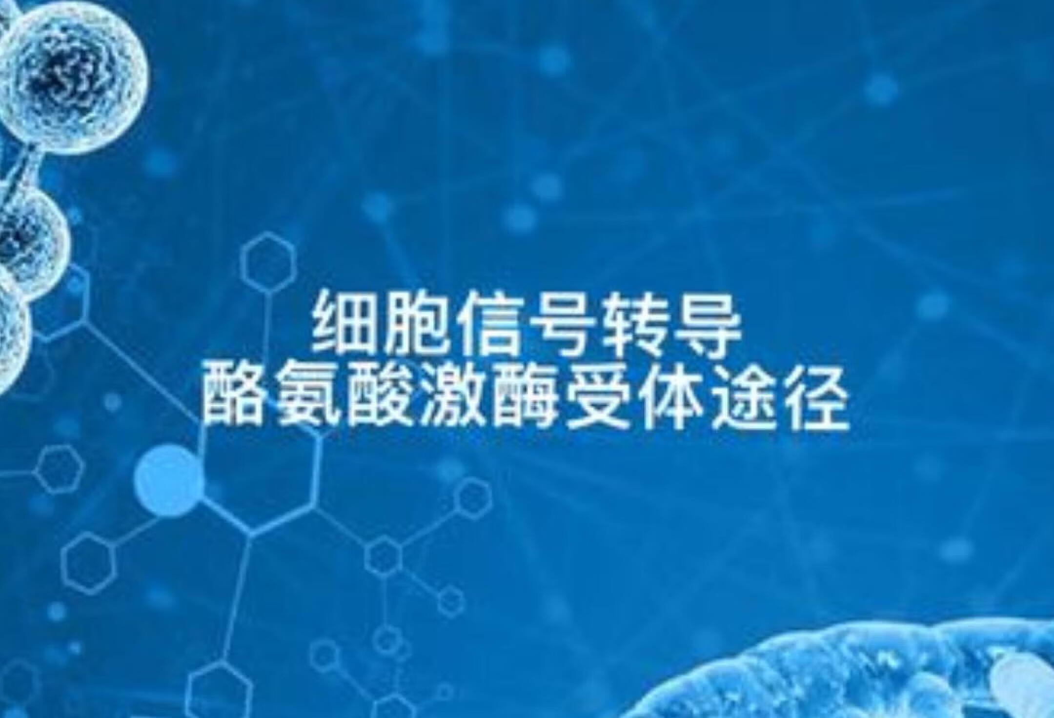 酪氨酸激酶受体途径医学科普 细胞 生命科学 生物