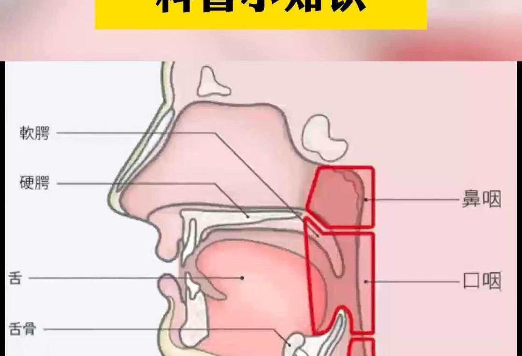 口底癌