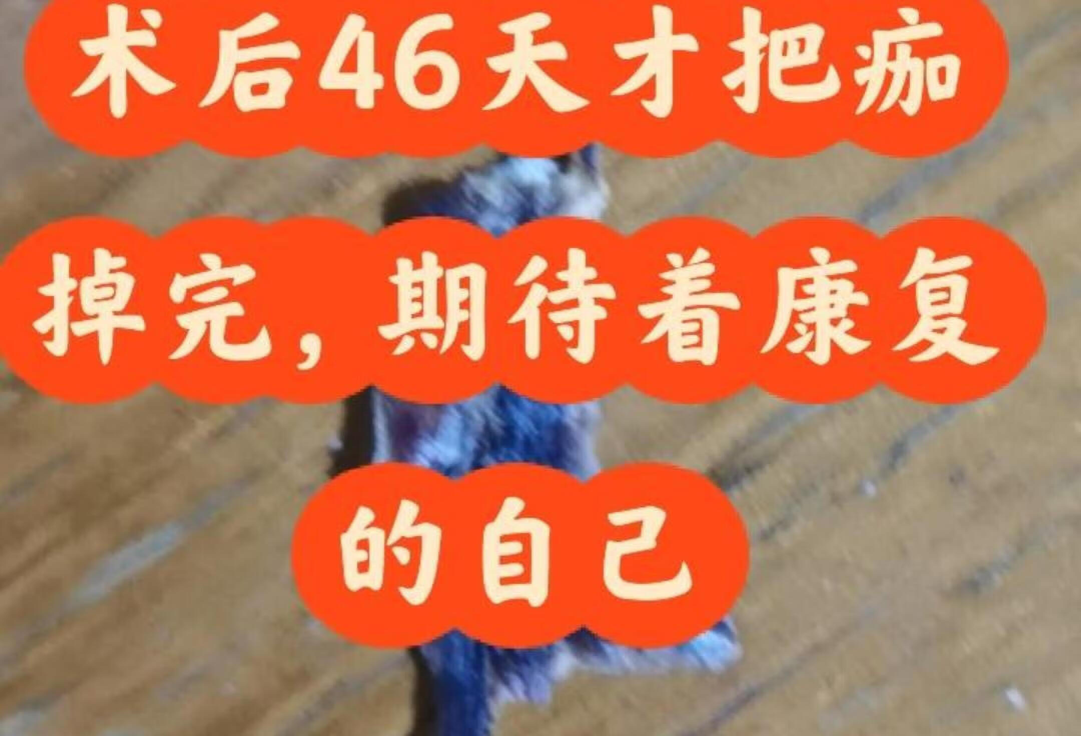 脊柱压缩性骨折固定手术后第46天