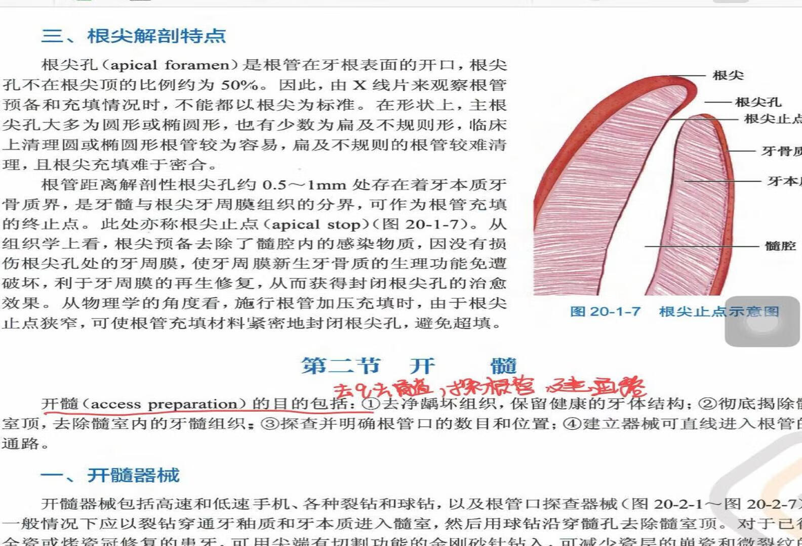 牙体牙髓 口诀 带背