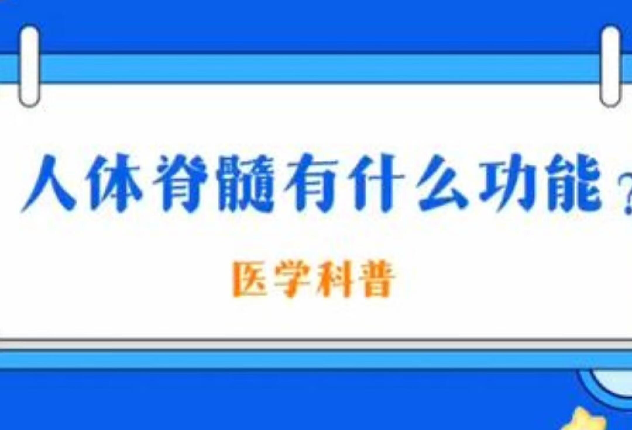 医生揭秘：人体脊髓的神奇功能