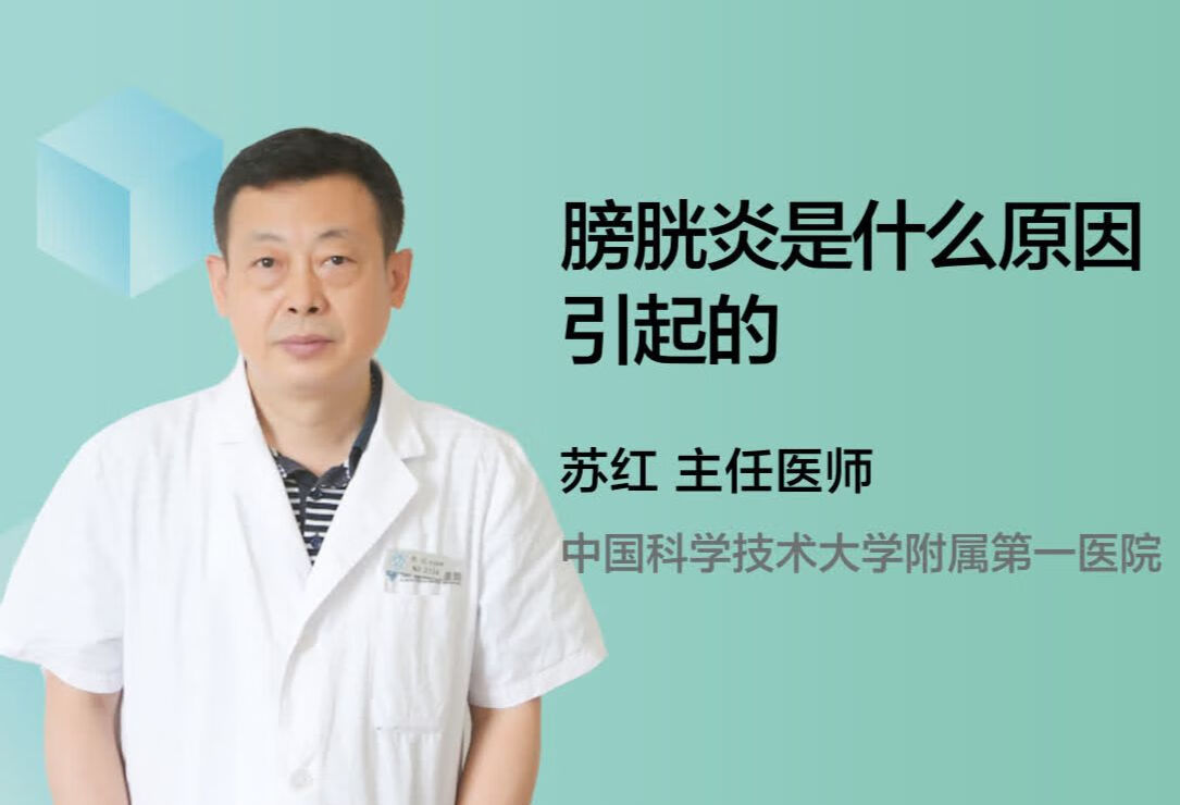 膀胱炎是什么原因引起的？