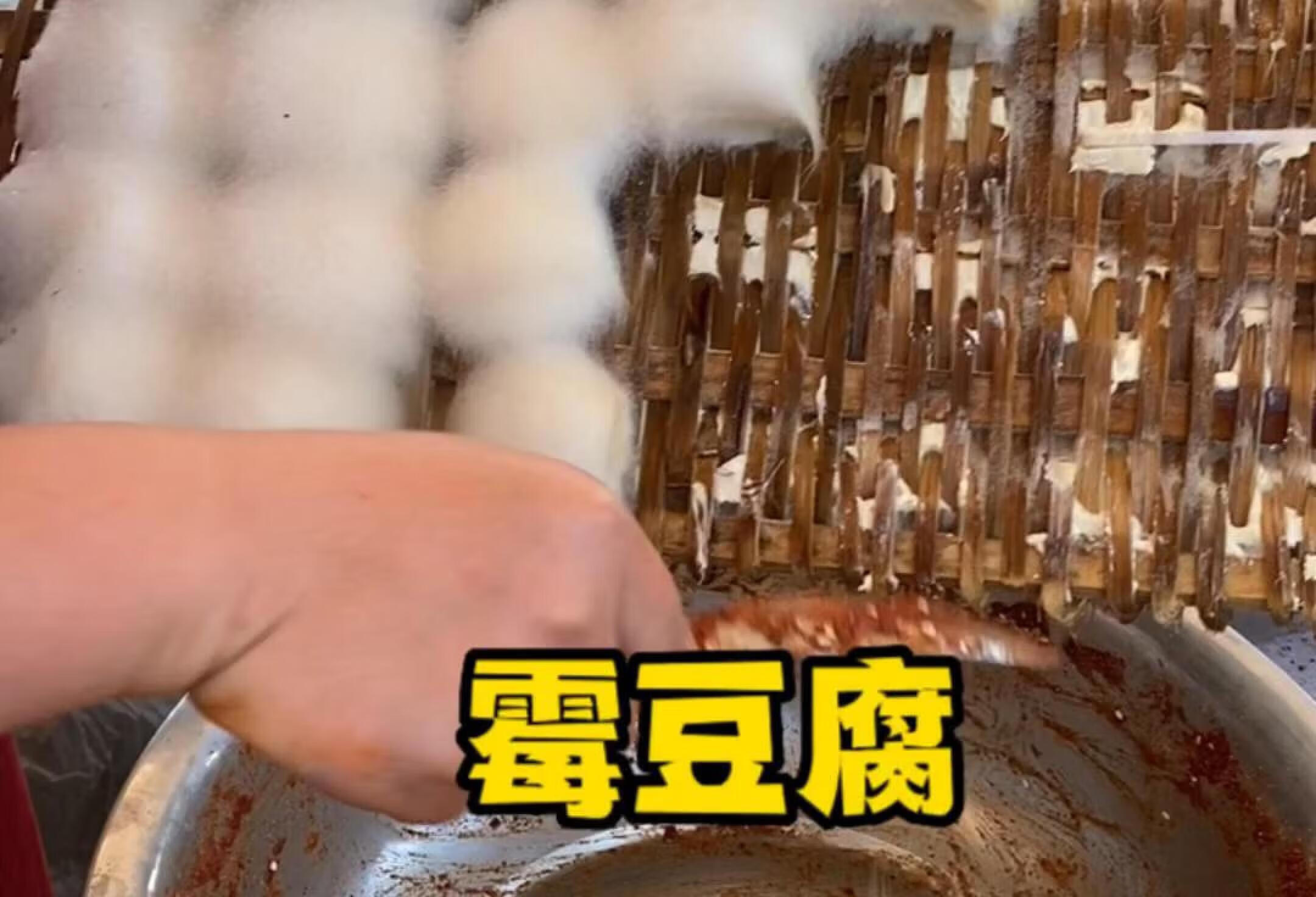 发霉的毛豆腐真的就是烧烤味的豆腐乳吗？