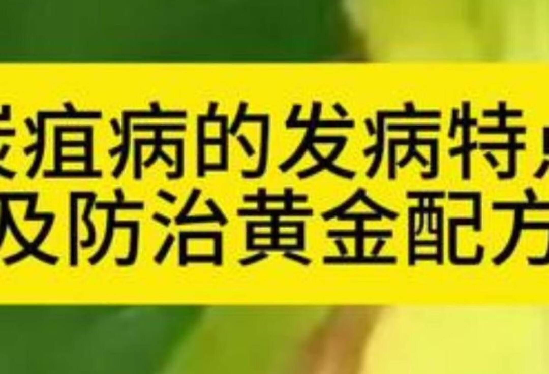 精准防治炭疽病，农业小知识大揭秘