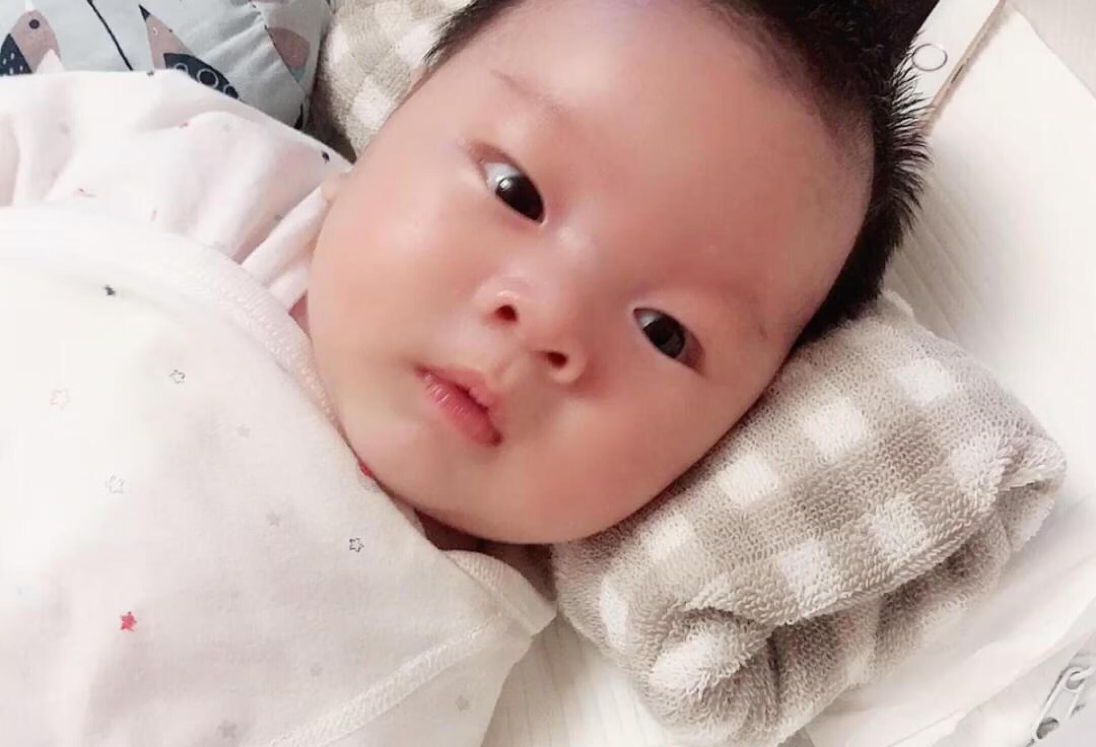 机灵古怪的睡渣宝宝👶