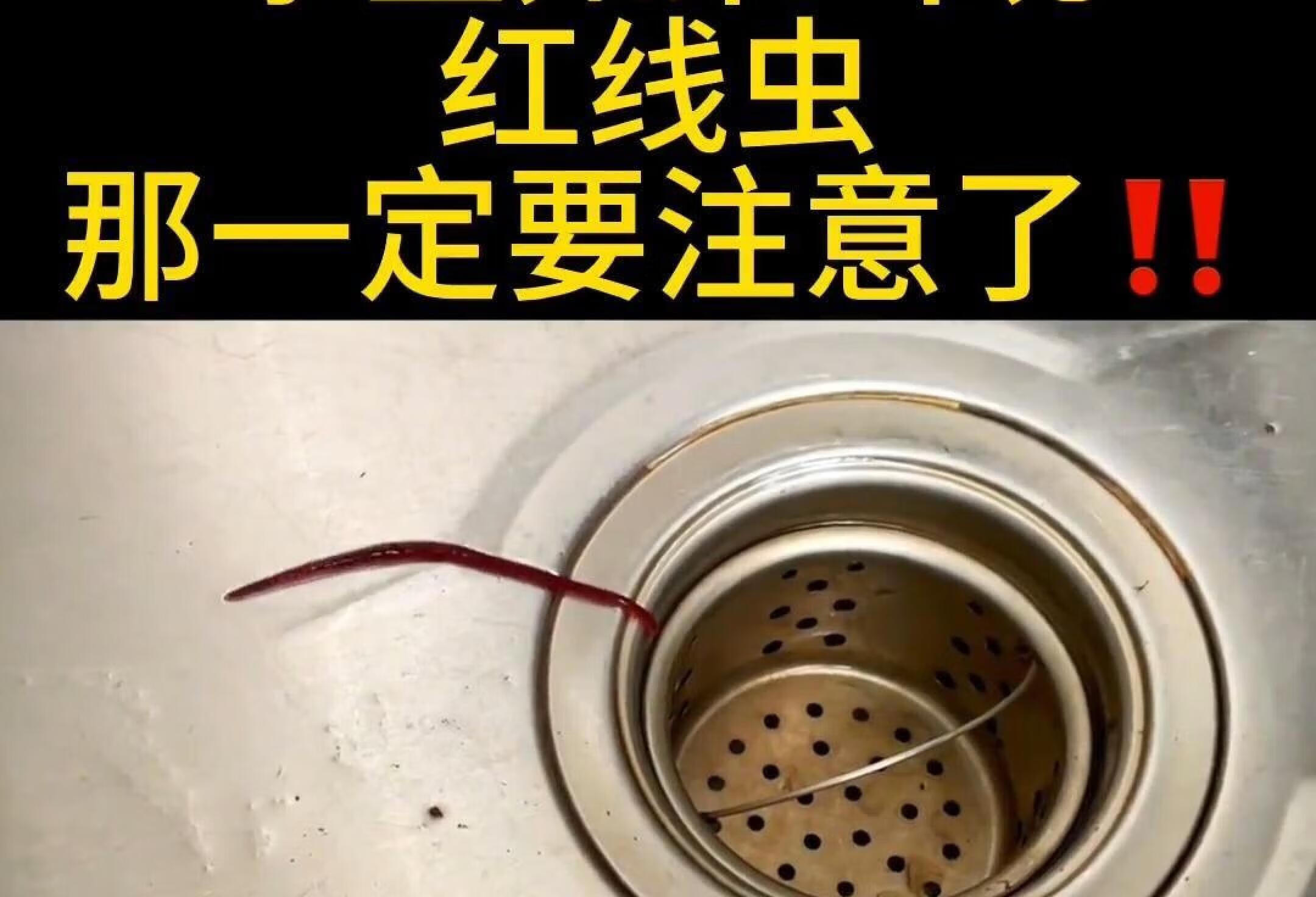 家里卫生间发现红线虫，你一定要重视