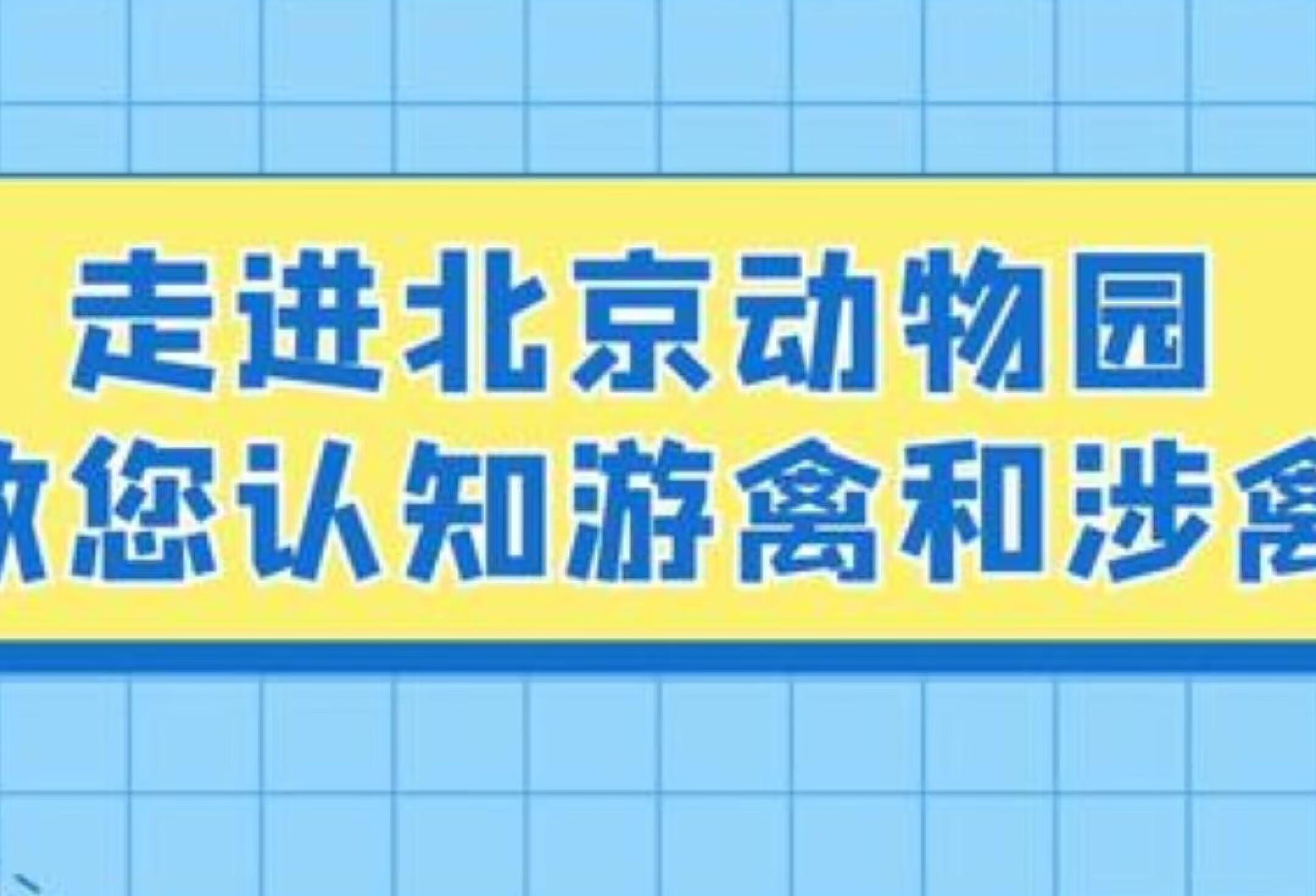 邓老师教你辨别游禽和涉禽