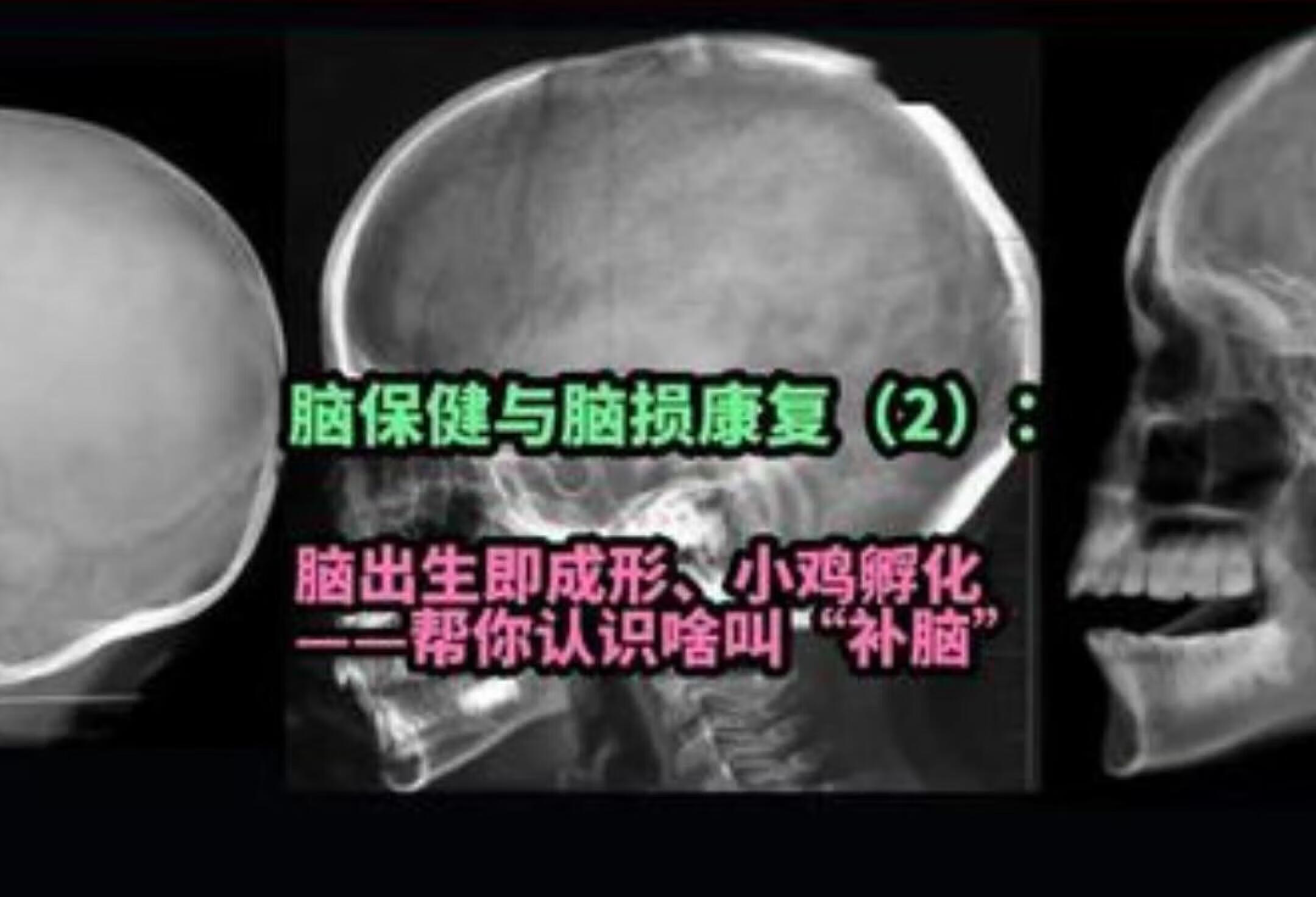 鸡蛋孵化揭秘卵磷脂补脑真相