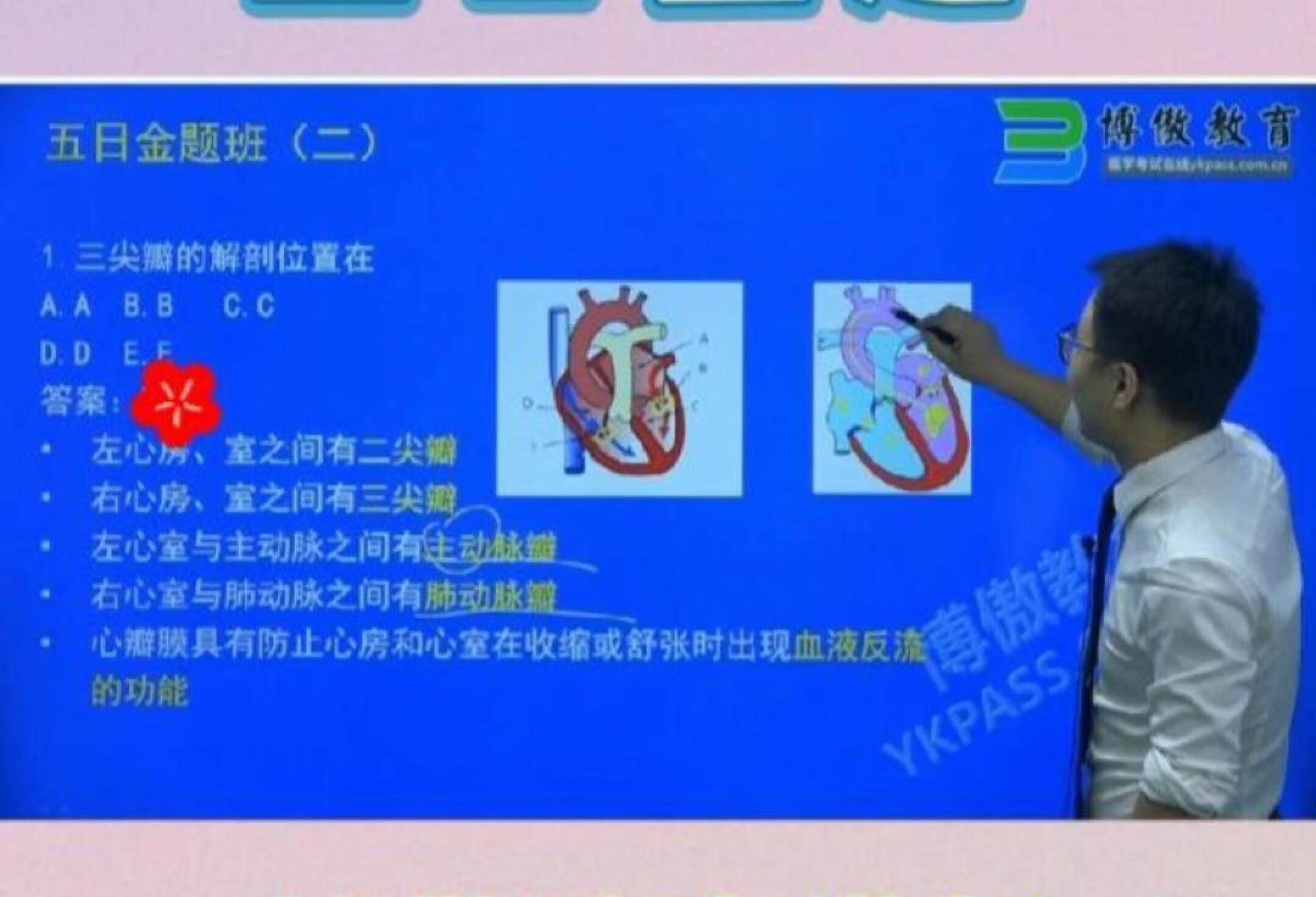 护士资格证考试五日金题直播讲解