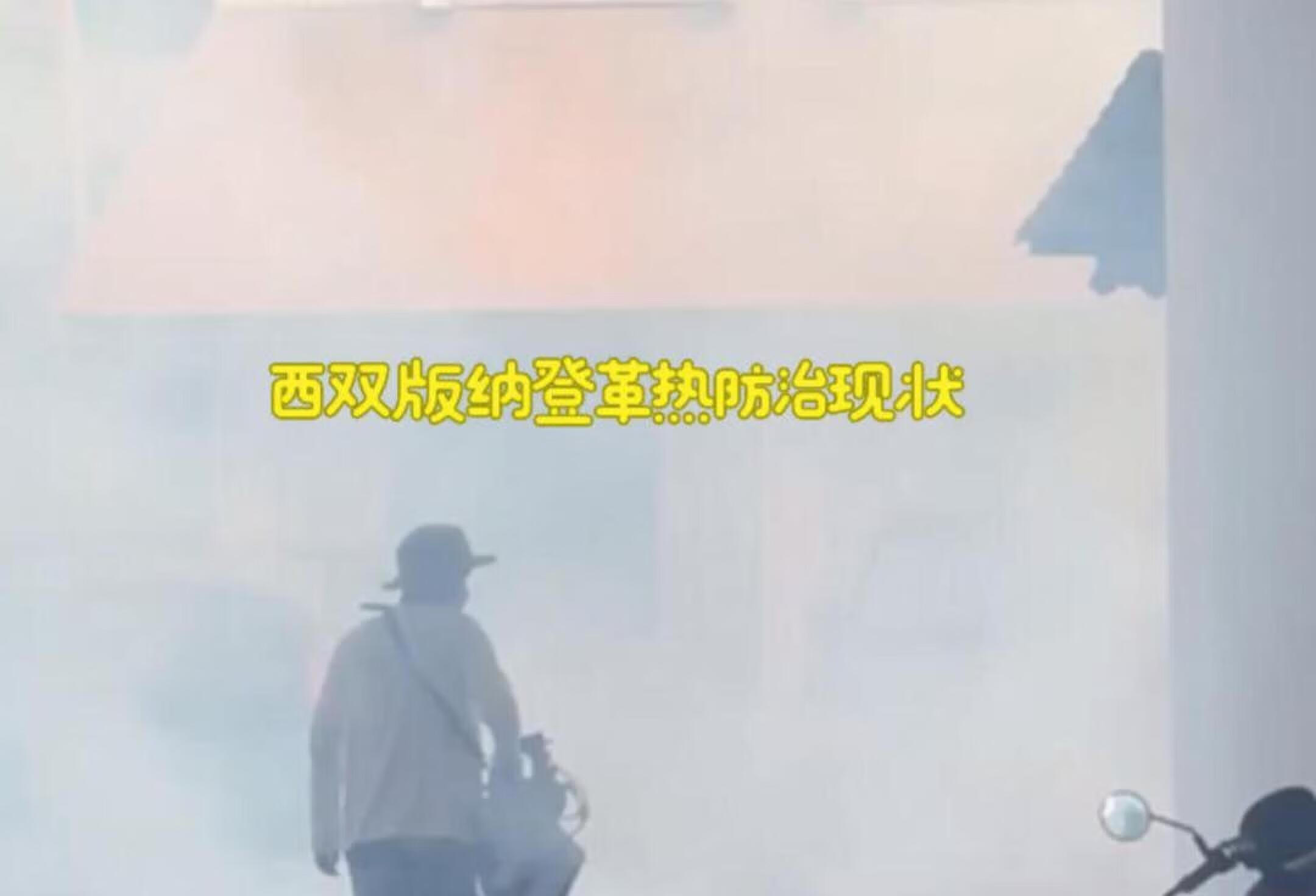 西双版纳登革热防治现状