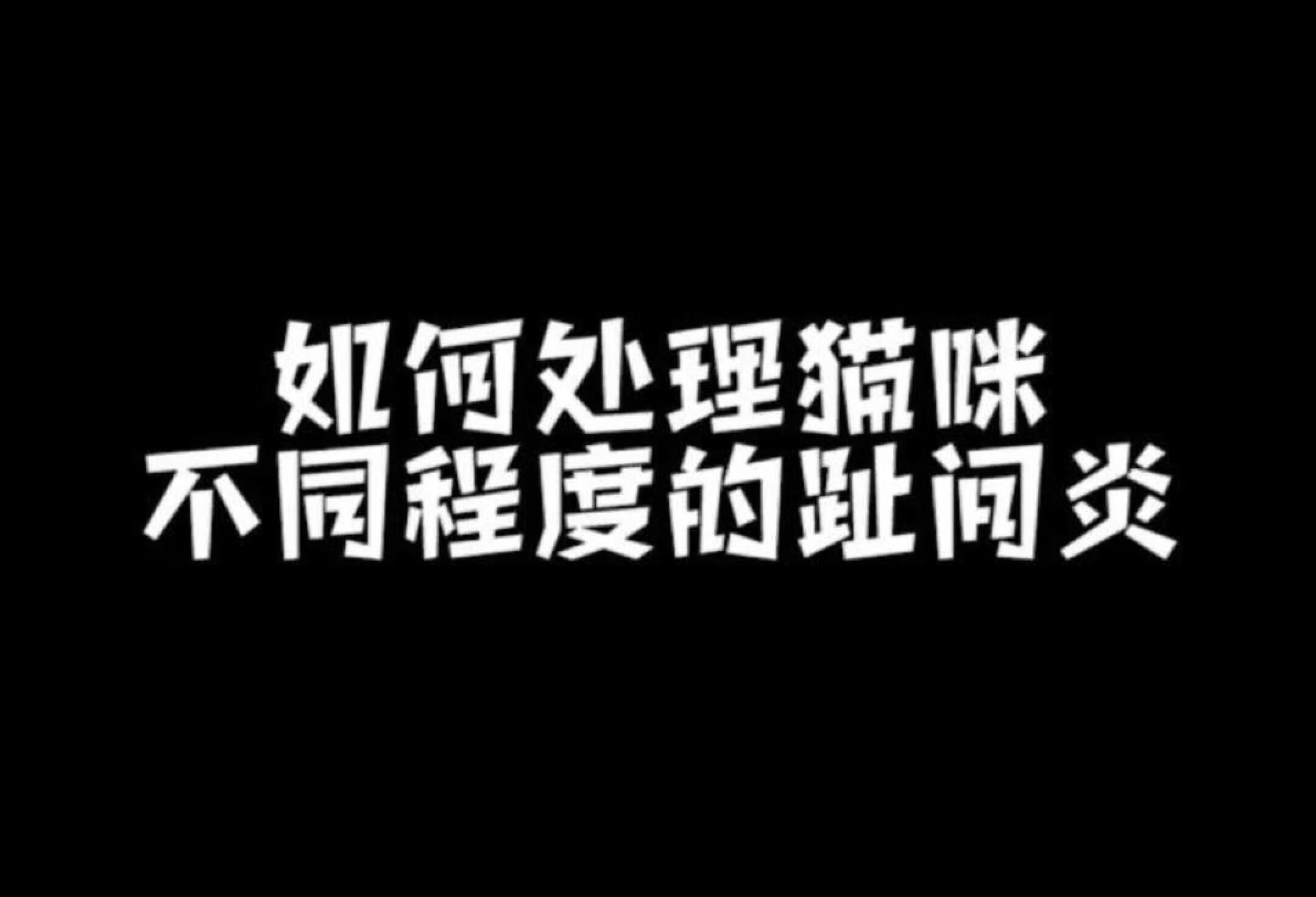 一招教你如何处理猫咪的趾间炎