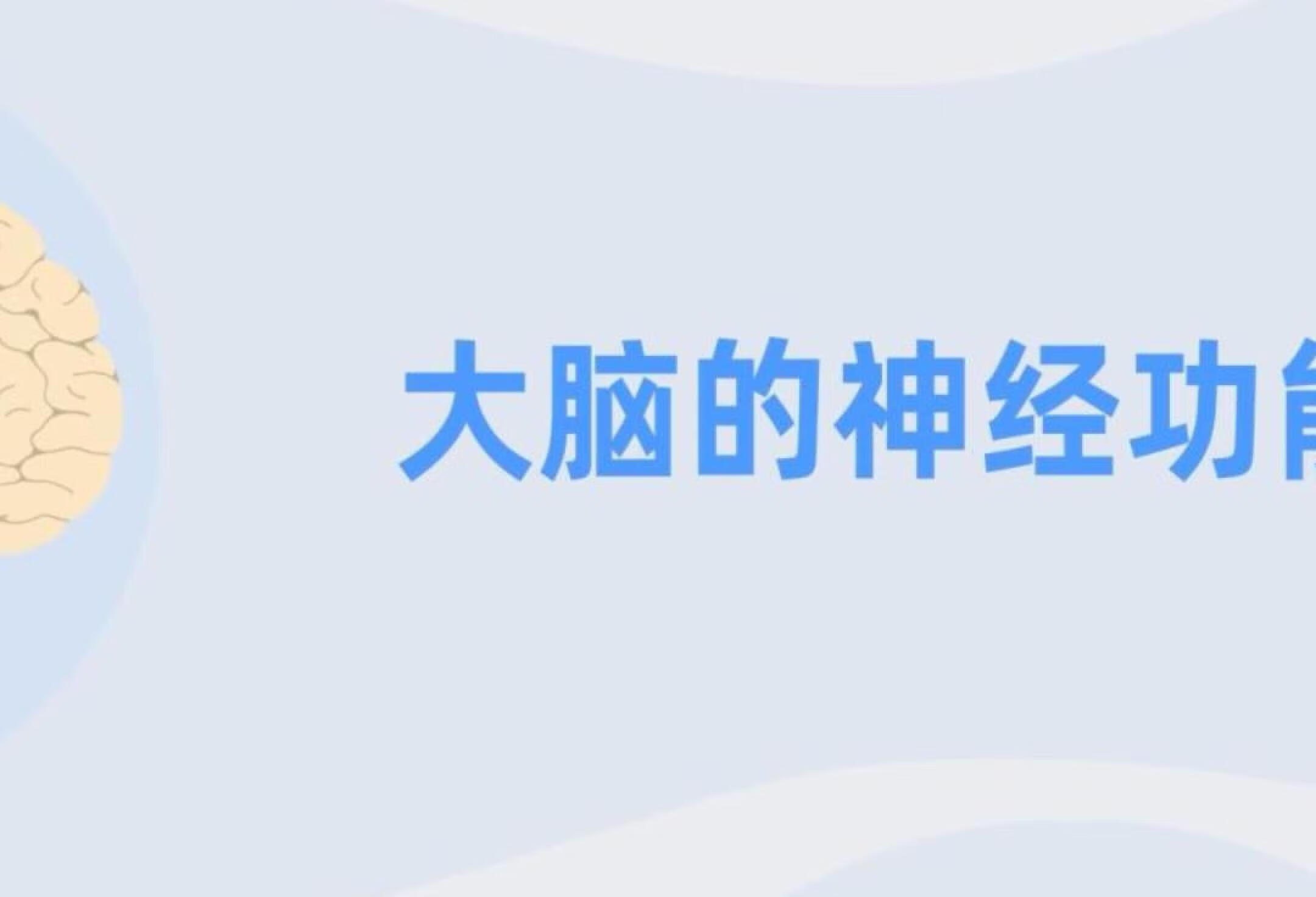 🤯 超燃！大脑神经功能揭秘，如此强大！