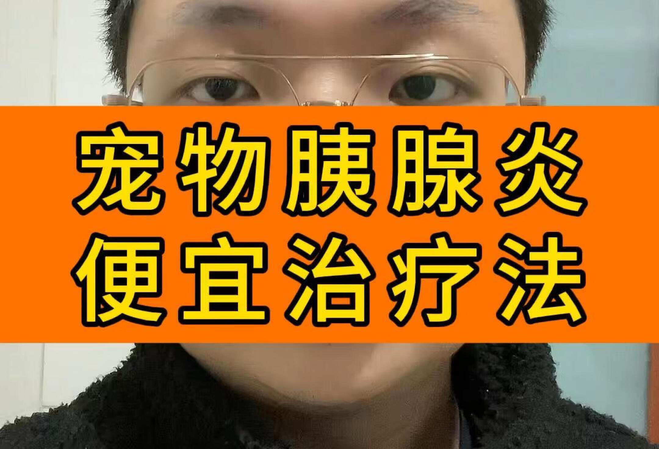 宠物胰腺炎治疗