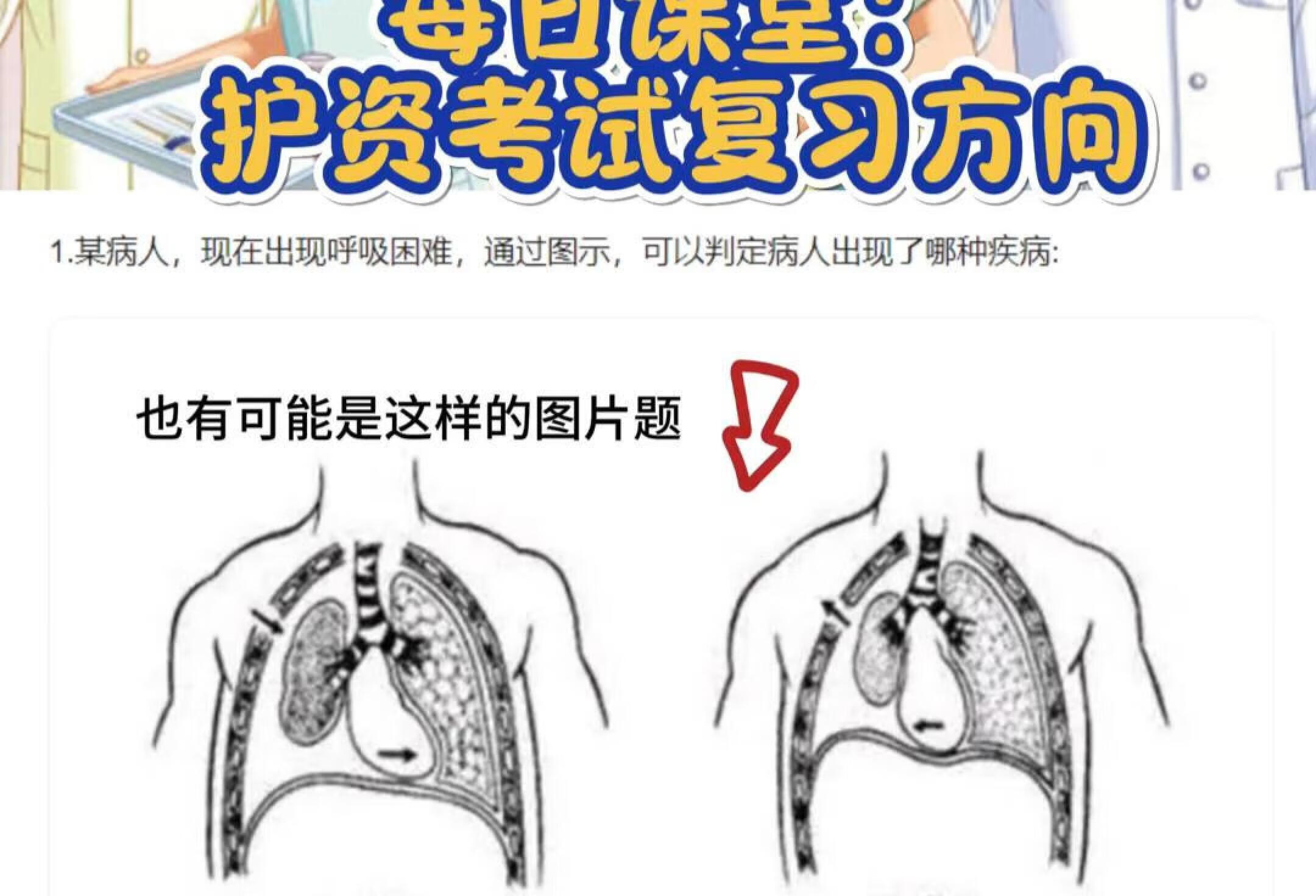 24护考必备！！