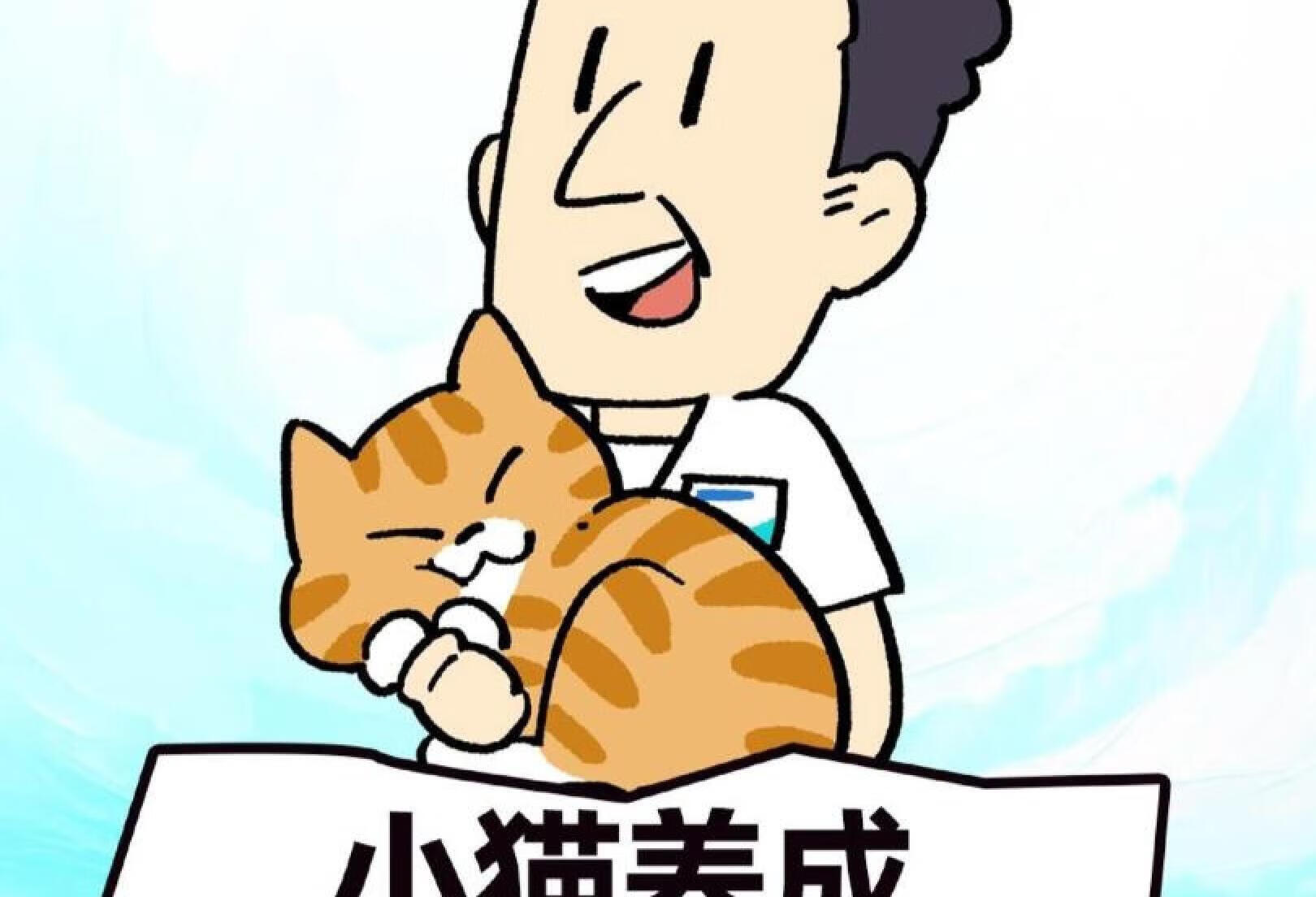 小猫养成！拥有一只“情绪稳定”的社牛猫咪