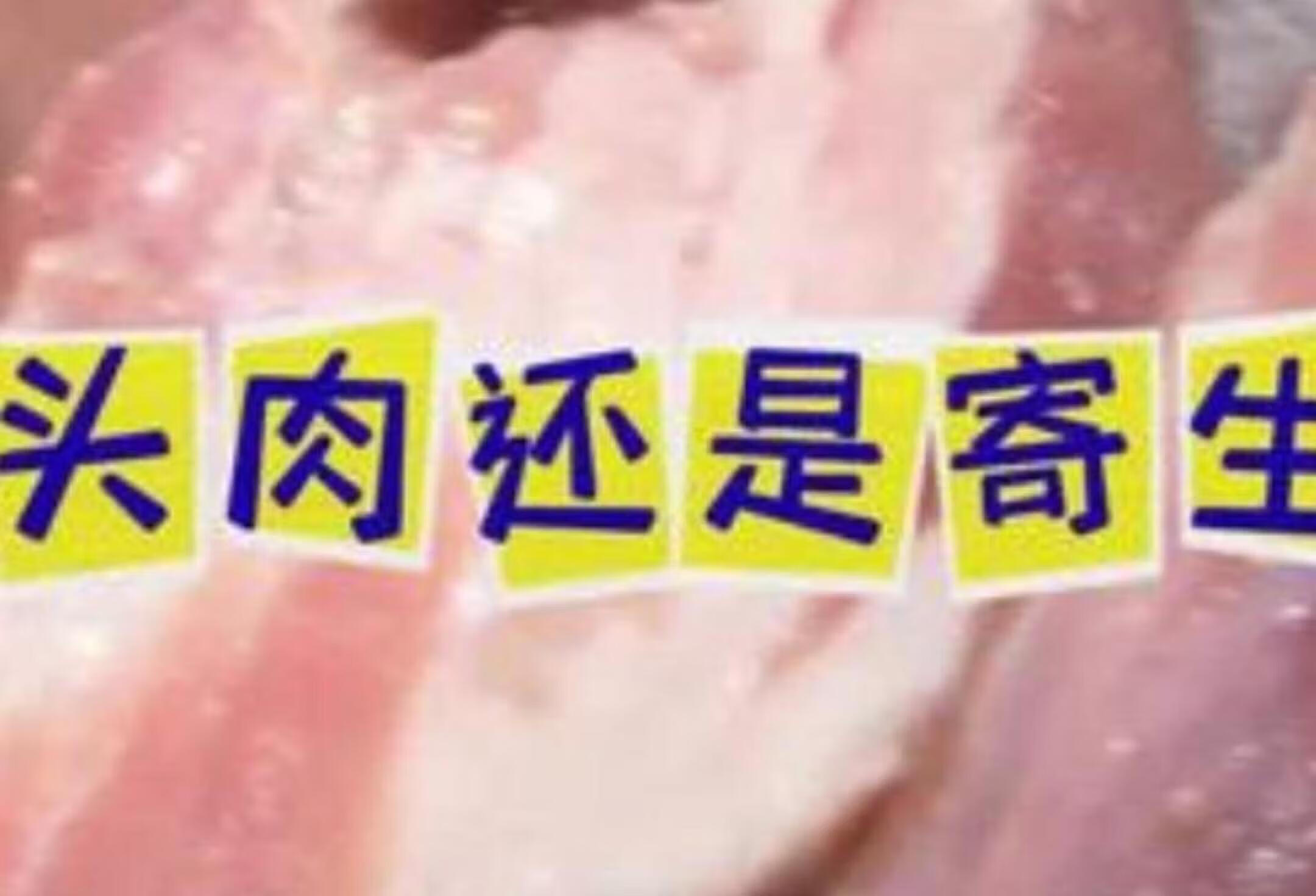 猪肉挤出脓包？业内揭秘槽头肉真相