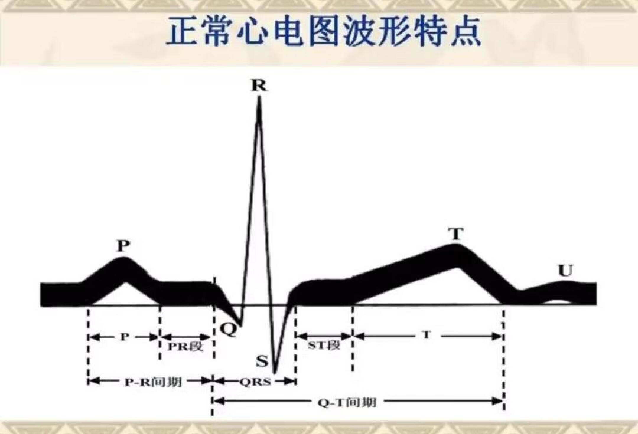 21护考 护士