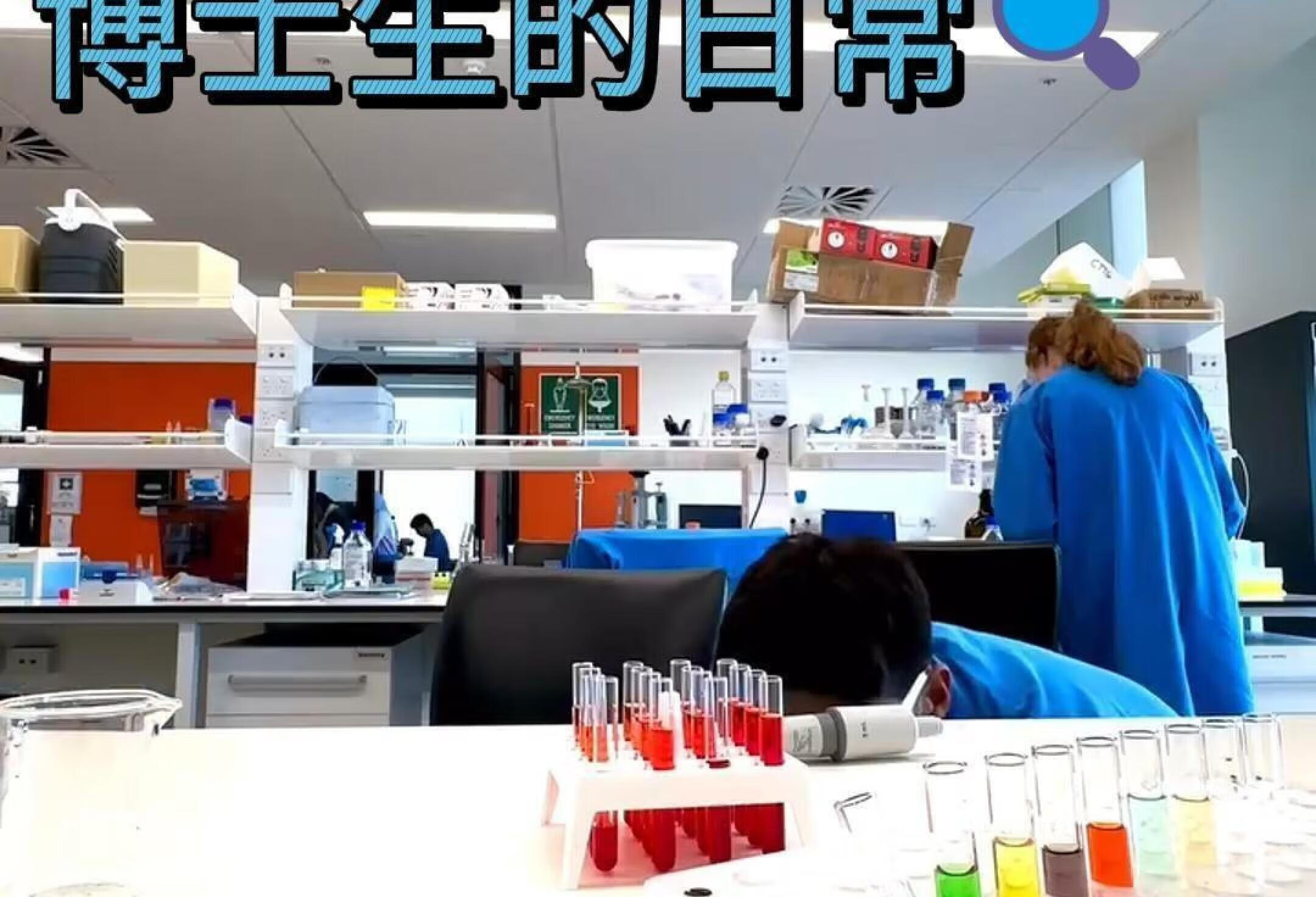 在南澳大学读博的一天是怎样的?