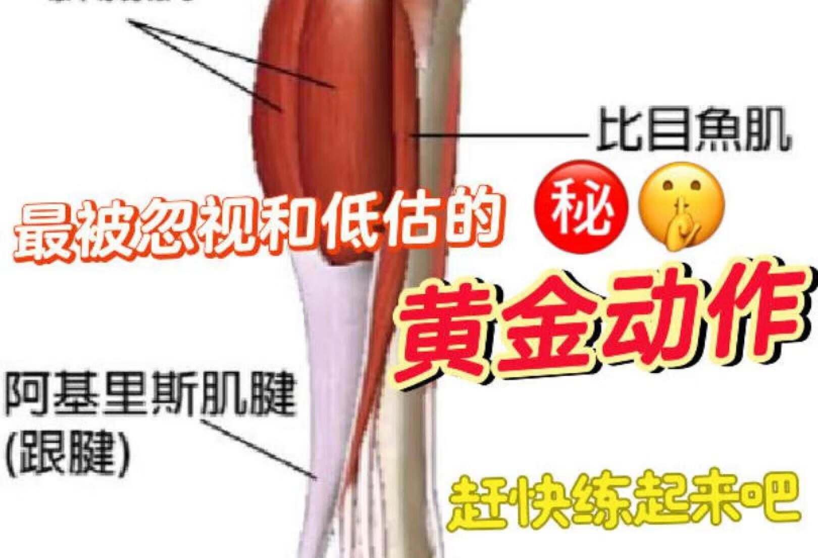 足跟疼跟腱炎之被忽视的黄金恢复动作㊙️🤫