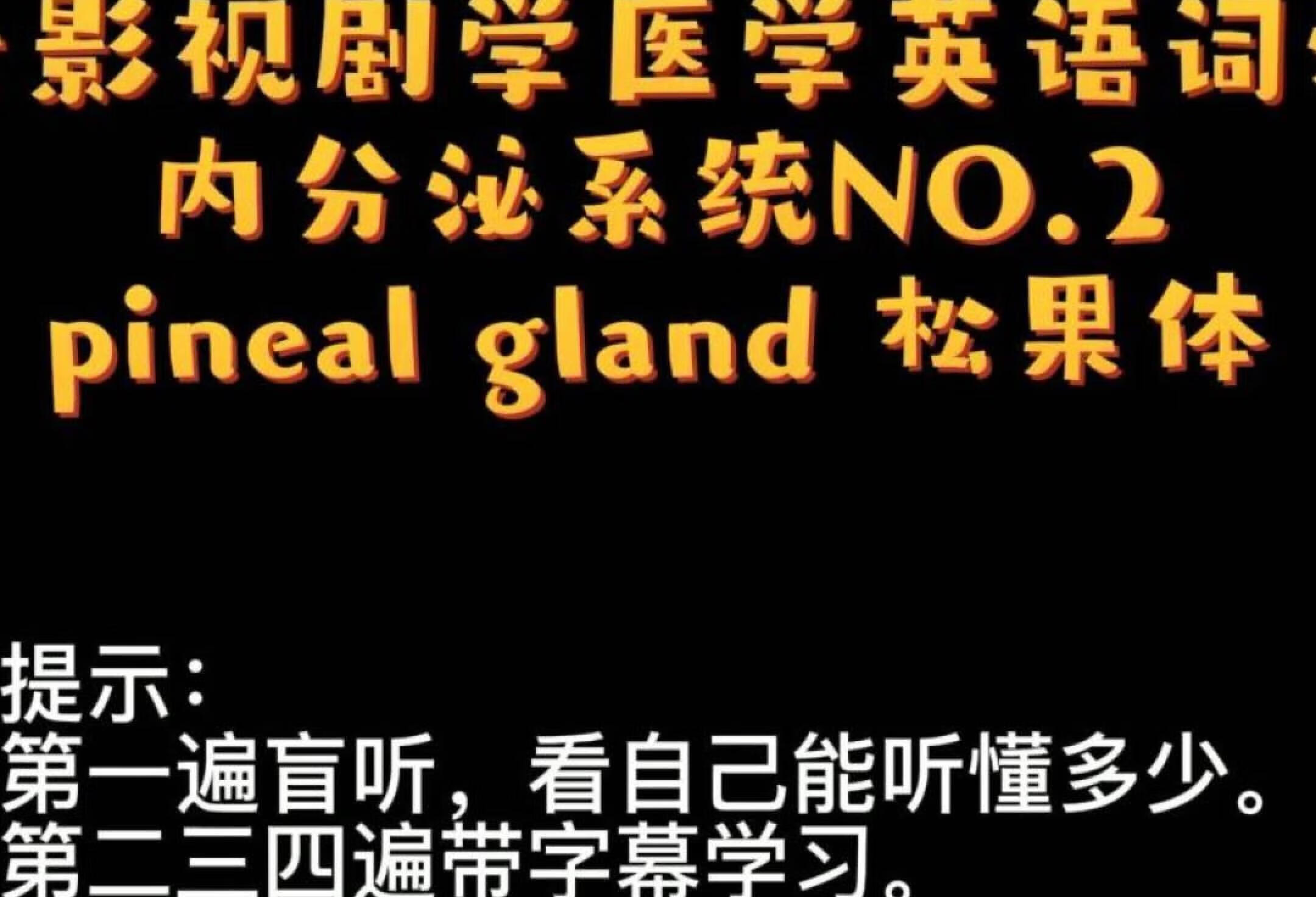 pineal gland 松果体