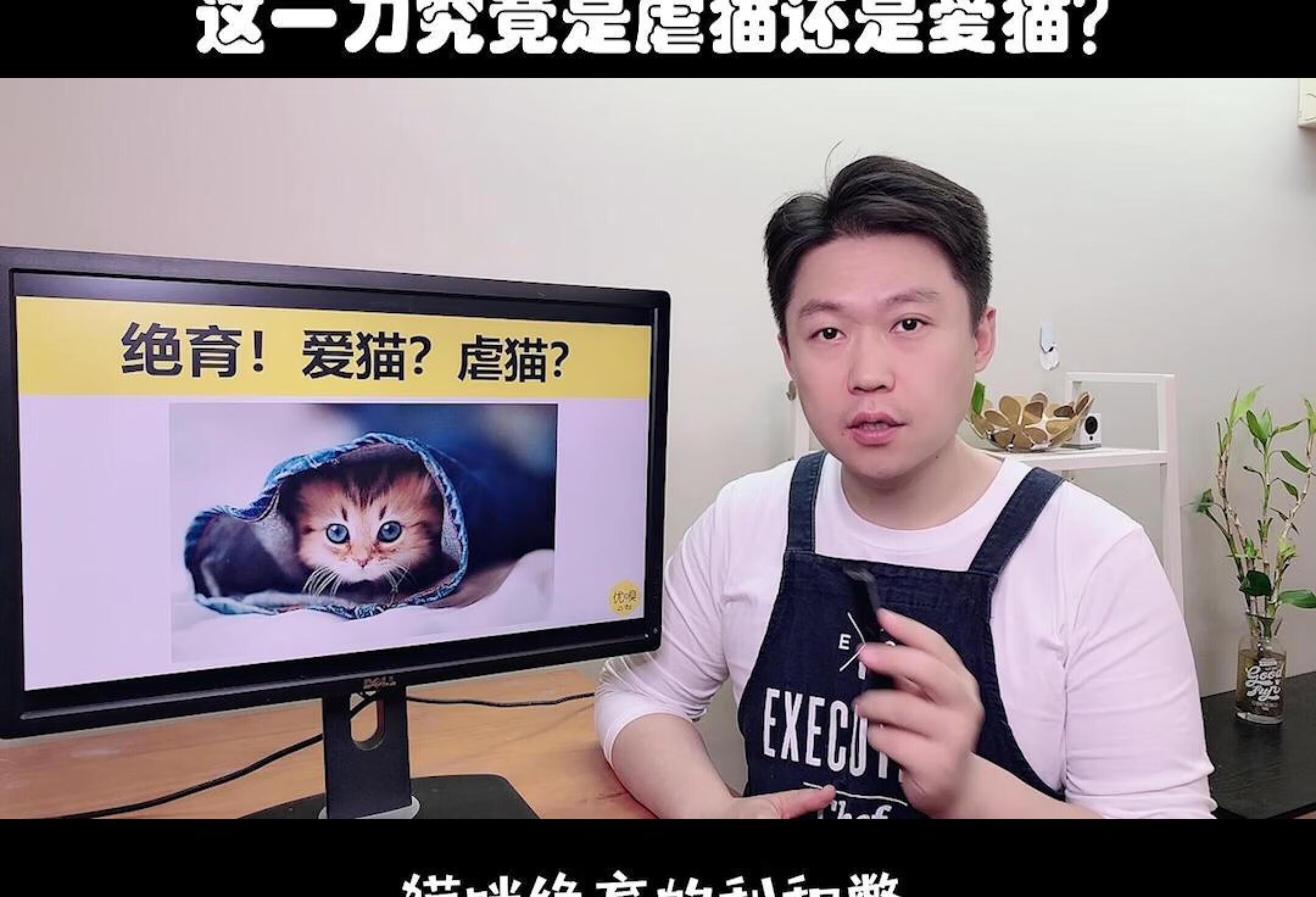 猫咪绝育的利与弊