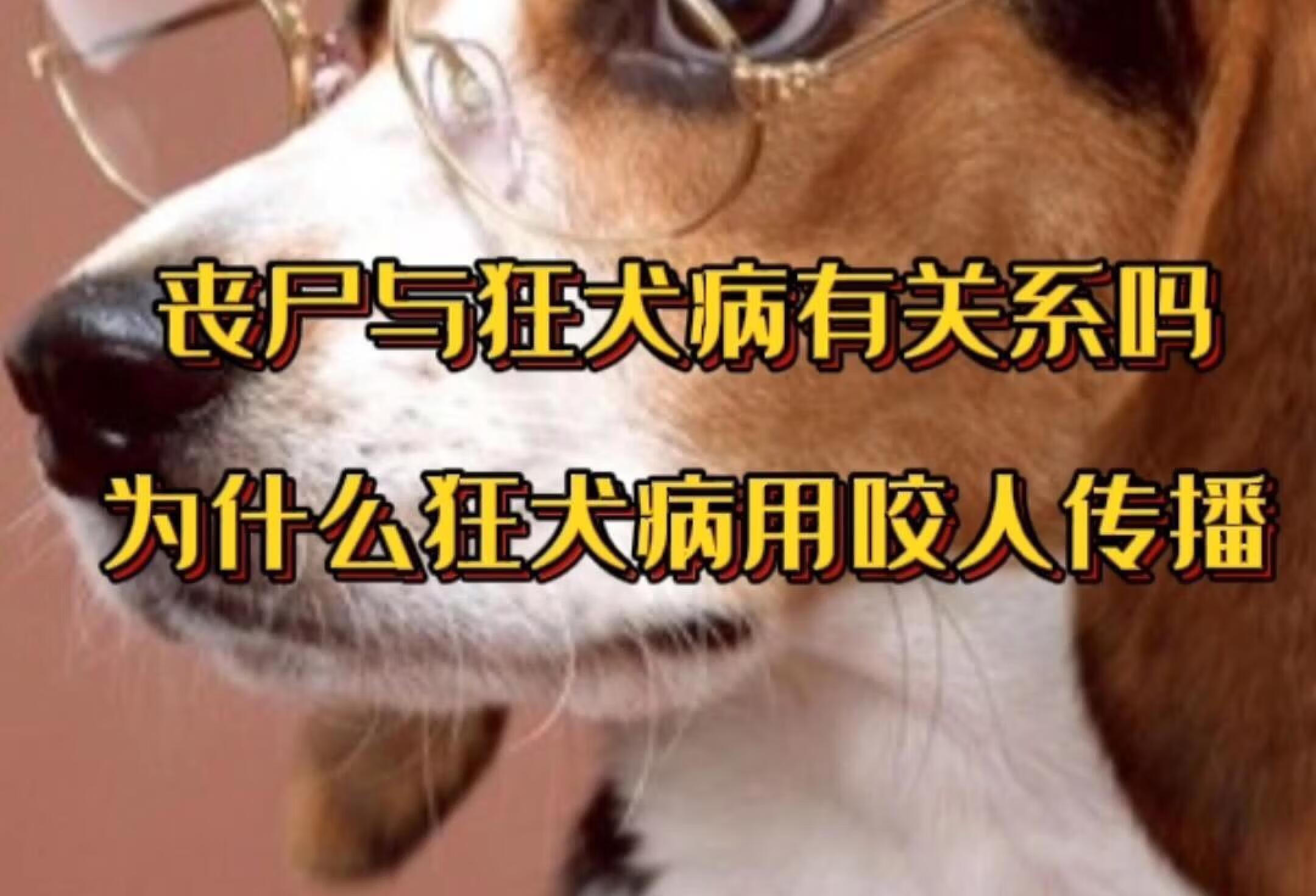 丧尸与狂犬病有关系吗