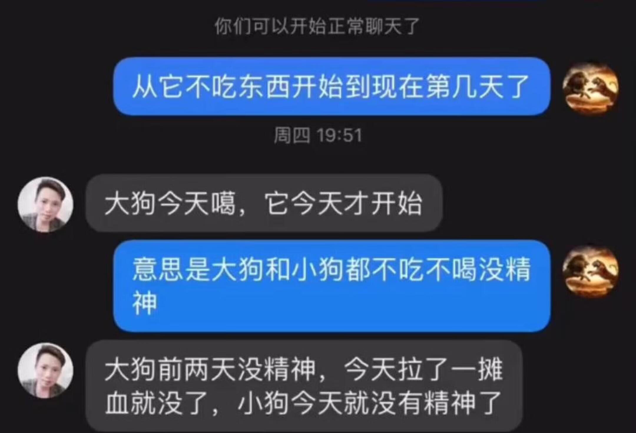 细小肠炎肠胃炎 细小病毒