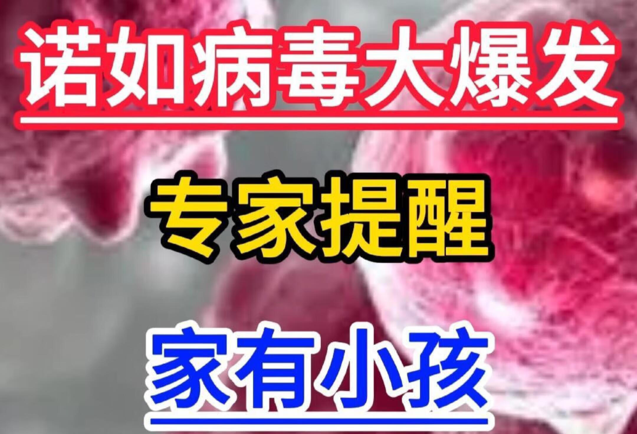 诺如病毒感染性腹泻